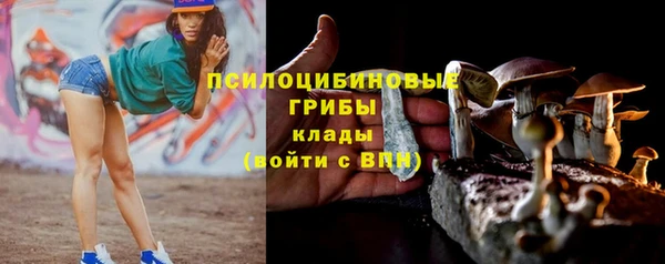 соль курить ск Балабаново