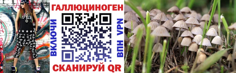 Галлюциногенные грибы Magic Shrooms  hydra ONION  Волгоград 